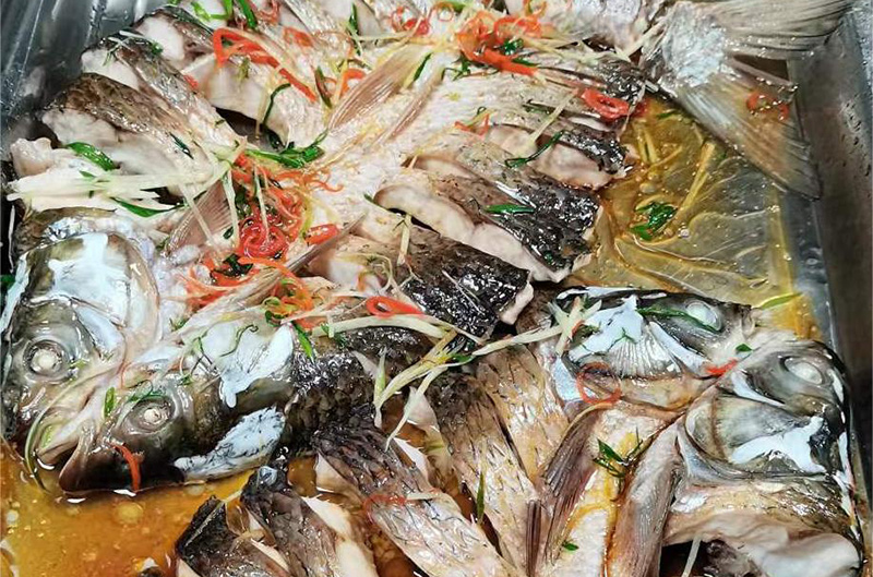 清蒸鲩鱼